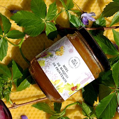 Spring Maquis Honey DOP Miel de Córcega - Mele di Corsica 400g