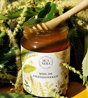 Chestnut Honey PDO Honey from Corsica - Mele di Corsica 400g 1