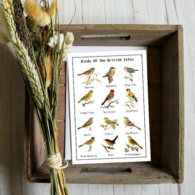Tarjeta de semillas de pájaros británicos - Flores silvestres para pájaros