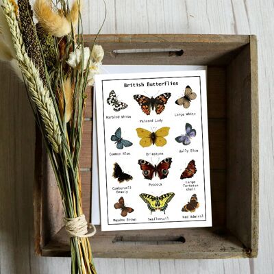 Carta di semi di farfalle britanniche - fiori di campo per farfalle