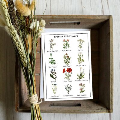 British Wildflower Seed Card - 12 varietà di fiori di campo