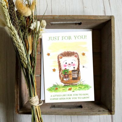 Grow your own coffee card - Herby Hedgehog