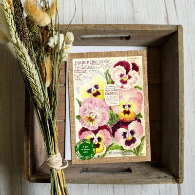 Tarjeta de felicitación con regalo de semillas - Vintage Pansy