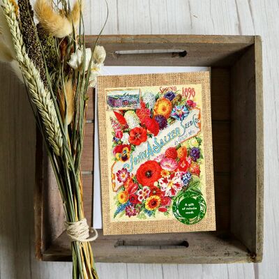 Greeting card with a gift of seeds - Vintage Celosia