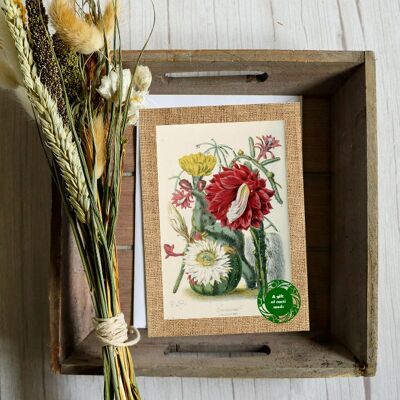Tarjeta de felicitación con regalo de semillas - Vintage Cacti