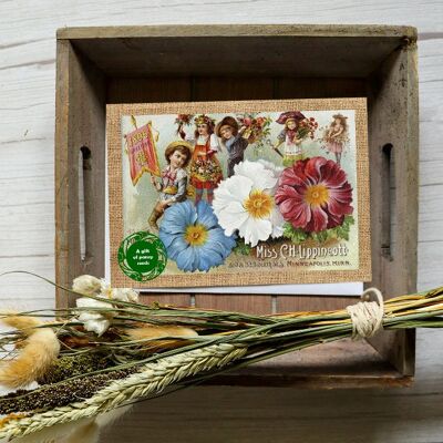 Greeting card with a gift of seeds - Vintage Pansy Landscape