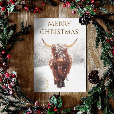 Christmas card with seeds inside - Saffy The Highland Cow