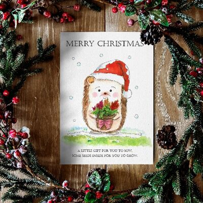 Tarjeta de Navidad con regalo de semillas - Herby Hedgehog
