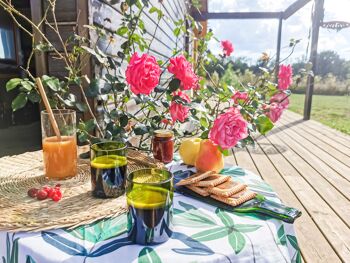 VERRES Culotées Longs Bruns 9