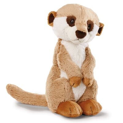 Suricate 30cm, assis