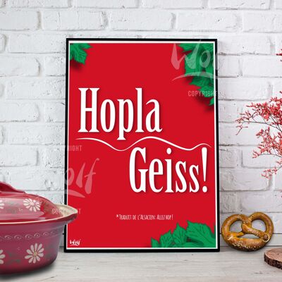 Hopla Geiss- 50x70cm - Aluminium