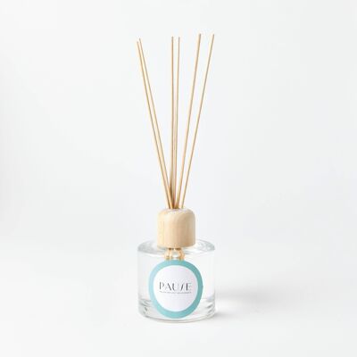 Clear Apothecary Reed Diffuser Kit
