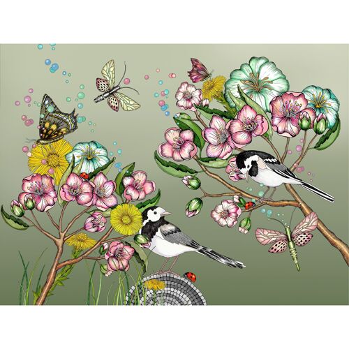 Poster 40x30 cm Wagtails spring green