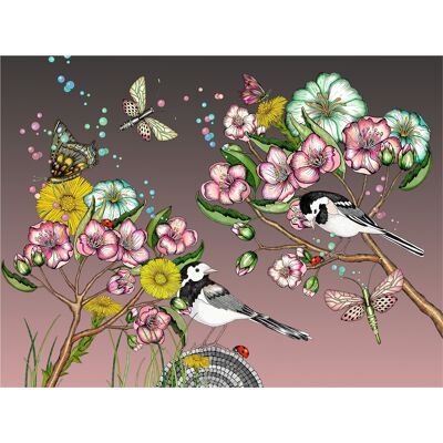 Poster 40x30 cm Wagtails spring rose