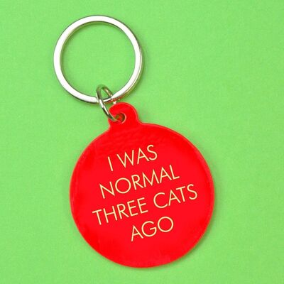 Ich war vor drei Katzen normal Schlüsselanhänger