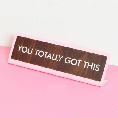 You Totally Got This Desk Plate Schild