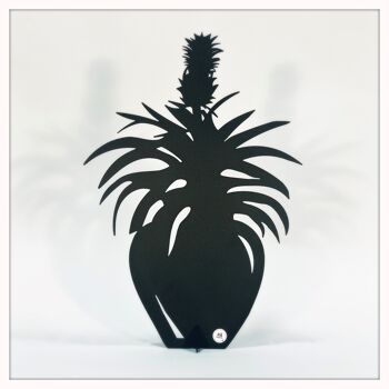 Fleur d'ananas noir