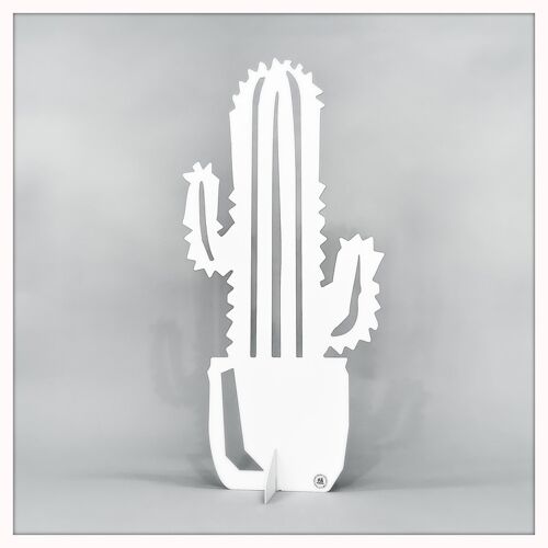 Cactus big white