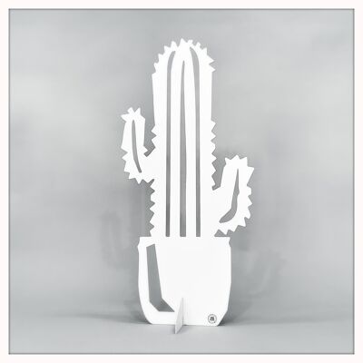 Cactus grande bianco