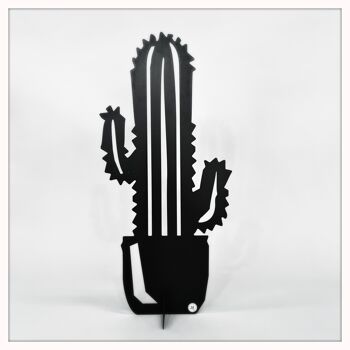 Cactus grand noir 1