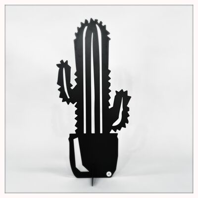 Kaktus groß schwarz