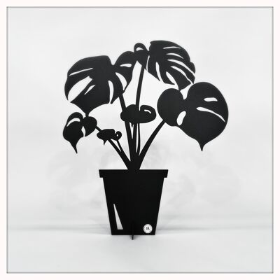 Monstera big black