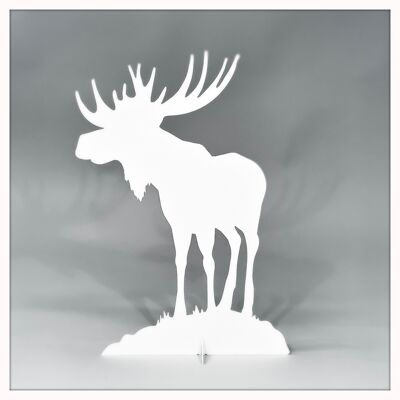 Moose medium white