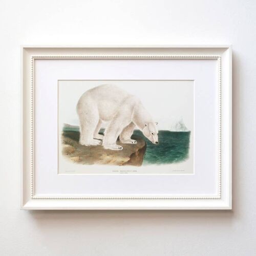 Polar bear A5 size art print, nature kids room decor, artctic