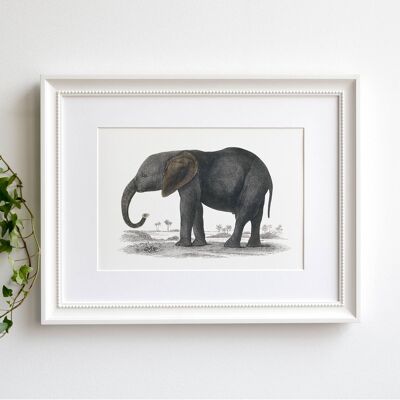 Elephant A5 size art print, African animal home decor, kids decor