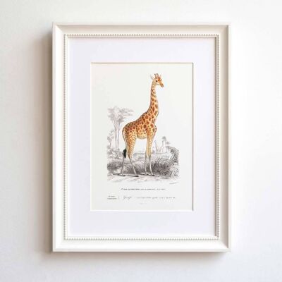 Giraffe A5 size print, animal wall art for kids' room