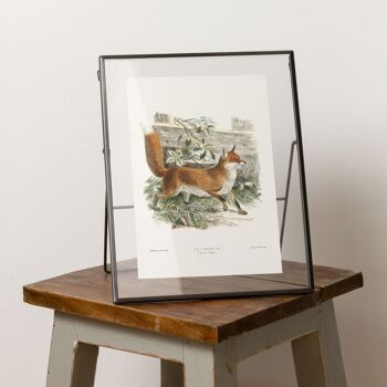 Impression Fox A5 Size, décor boisé vintage classique 2