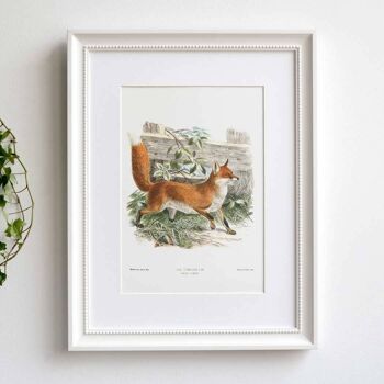 Impression Fox A5 Size, décor boisé vintage classique 4