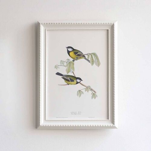 Great tit A5 size print, home decor for nature and bird lovers