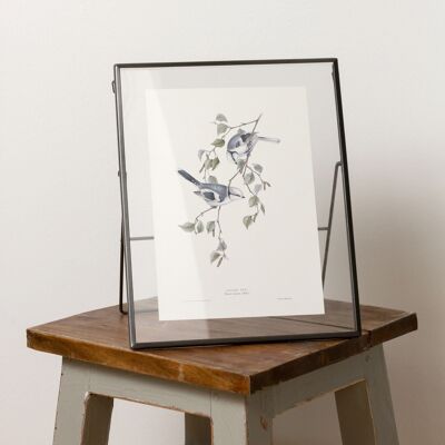 Azure tit A5 size print, vintage cottagecore bird home decor
