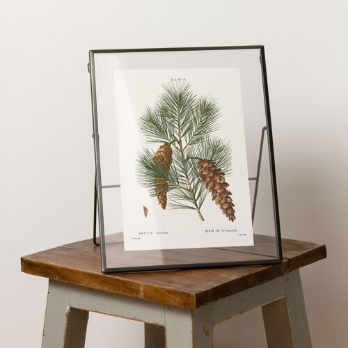 Pine tree branch A5 size art print, decor for cabin life, granola girl gift