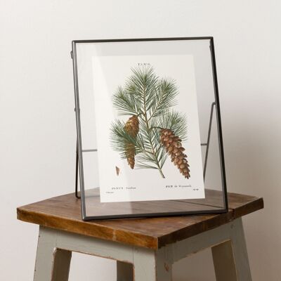 Pine tree branch A5 size art print, decor for cabin life, granola girl gift