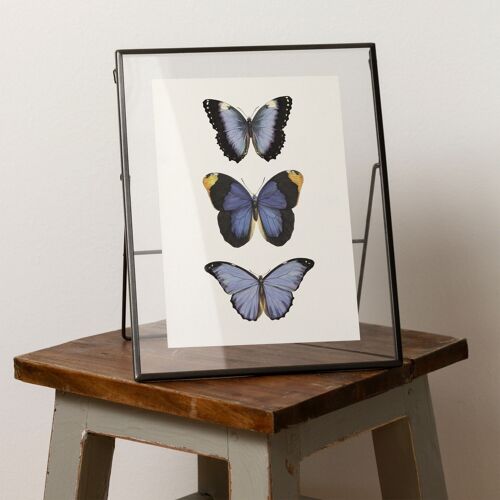 Purple butterflies A5 size print, colourful natural history art, vintage wall decor