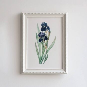 Impression d'art botanique de taille Purple Iris A5, décor floral élégant à la maison 2