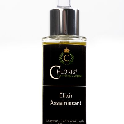 Elixir Assainissant