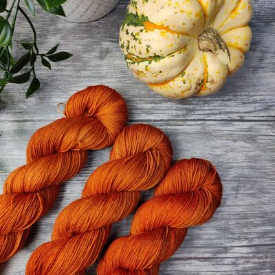Autumn Cliché  - Hand Dyed Yarn