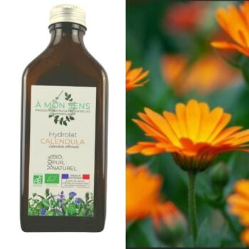 Hydrolat Calendula Bio Origine Bourgogne