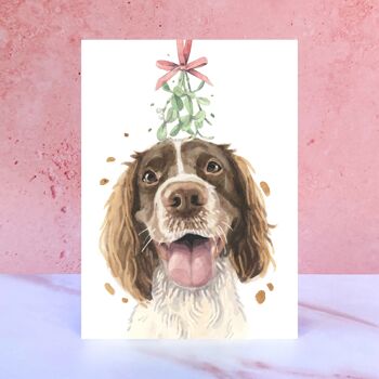 Carte de Noël Springer Spaniel 1