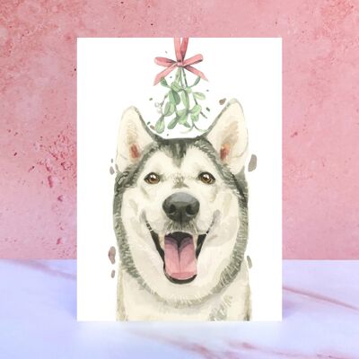Biglietto natalizio con husky siberiano