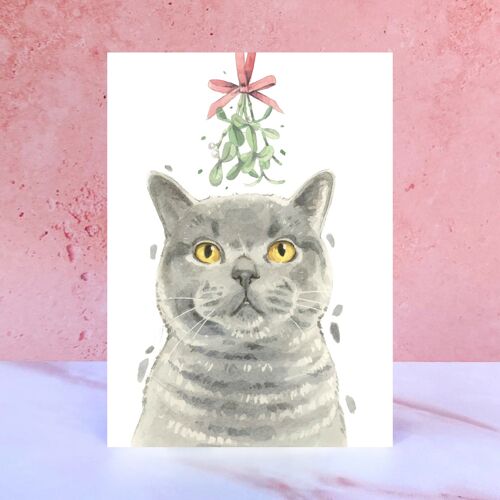 British Shorthair Cat Christmas Card