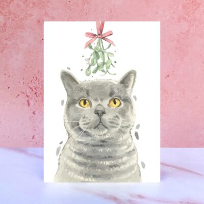 Biglietto natalizio gatto British Shorthair