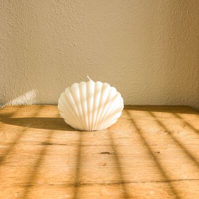 shell candle