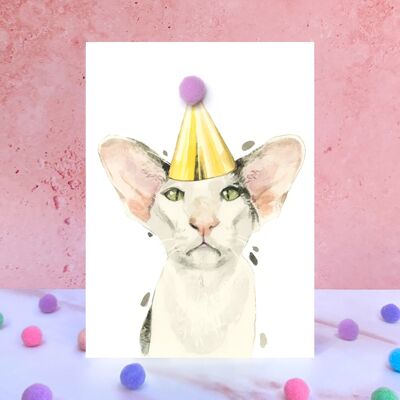 Carte d'anniversaire pompon chat oriental à poil court