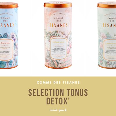 Pack Infusions Tonus & Détox BIO