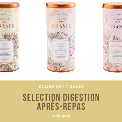 Organic Digestion Herbal Tea Pack