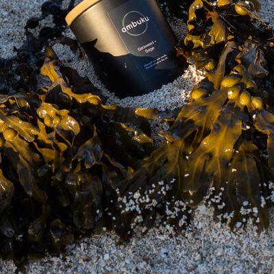 Seaweed + Sage Scented Candle - Medium